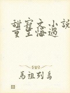 甜宠文小说推荐重生悔过