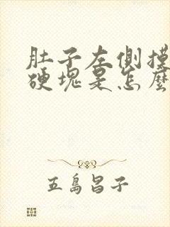 肚子左侧摸着有硬块是怎么回事