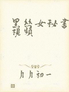 黑丝女秘书在线视频
