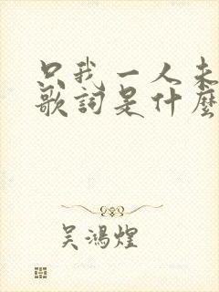 只我一人未发觉歌词是什么意思