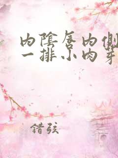 内阴唇内侧长了一排小肉芽