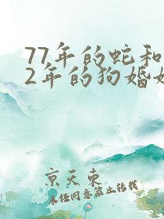 77年的蛇和82年的狗婚姻