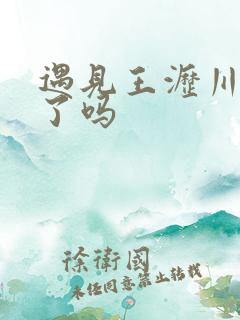 遇见王沥川得奖了吗