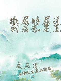 撒尿时尿道口有刺痛感是怎么回事