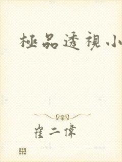 极品透视小邪医