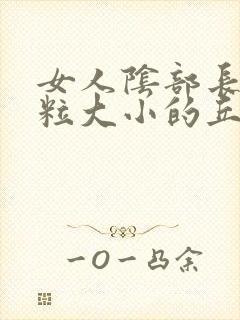 女人阴部长有米粒大小的丘疹