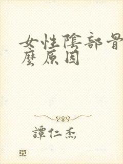 女性阴部骨疼什么原因