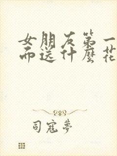 女朋友第一次见面送什么花比较好