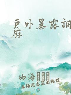 户外暴露调教麻麻