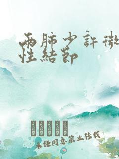 两肺少许微小实性结节