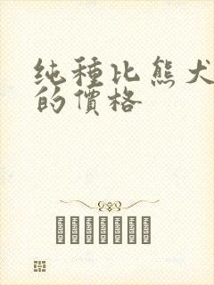 纯种比熊犬一只的价格