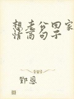 想老公回家的高情商句子