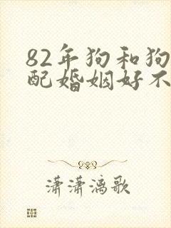82年狗和狗相配婚姻好不好