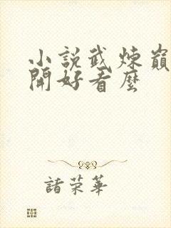 小说武炼巅峰杨开好看么