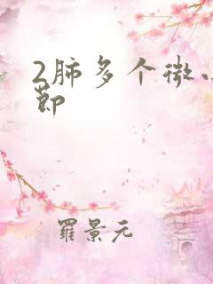 2肺多个微小结节