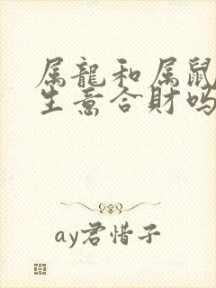 属龙和属鼠的做生意合财吗