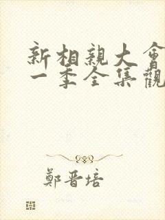 新相亲大会 第一季全集观看