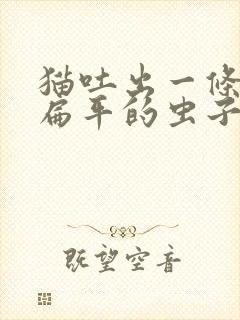 猫吐出一条白色扁平的虫子