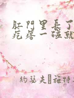 肛门里长了一个疙瘩一碰就疼