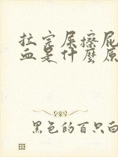 拉完屎擦屁股有血是什么原因