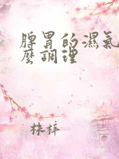 脾胃的湿气重怎么调理