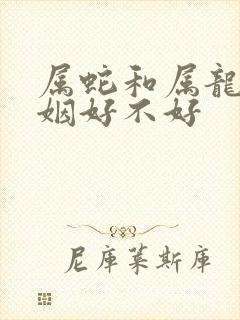 属蛇和属龙的婚姻好不好