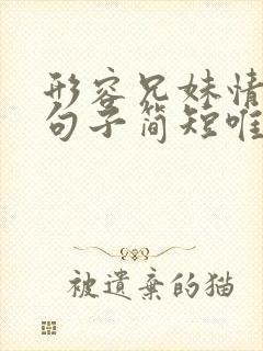 形容兄妹情深的句子简短唯美