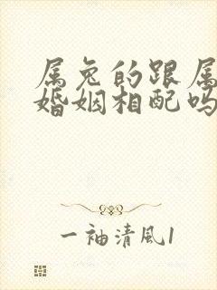 属兔的跟属羊的婚姻相配吗