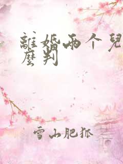 离婚两个儿子怎么判