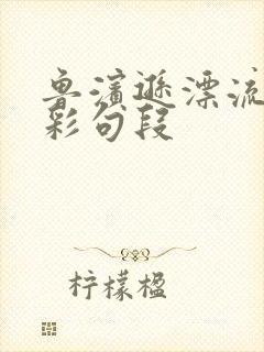 鲁滨逊漂流记精彩句段