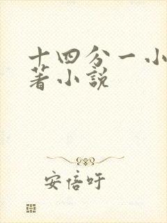十四分一小说原著小说