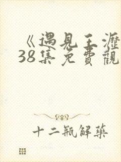 《遇见王沥川》38集免费观看