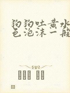 狗狗吐黄水带白色泡沫一般是什么原因