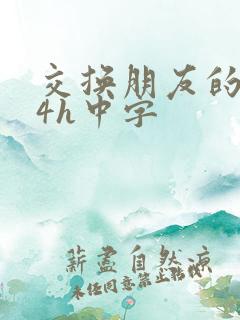 交换朋友的妻子4h中字