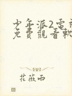 少年派2电视剧免费观看软件