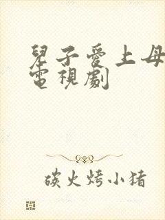 儿子爱上母亲的电视剧