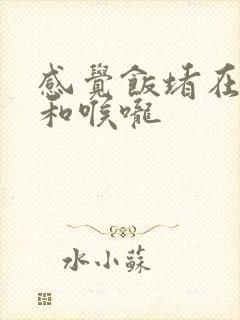 感觉饭堵在胸口和喉咙