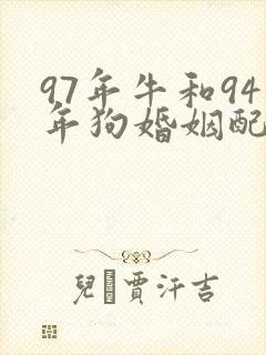 97年牛和94年狗婚姻配吗