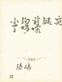 小狗前腿突然瘸了哆嗦