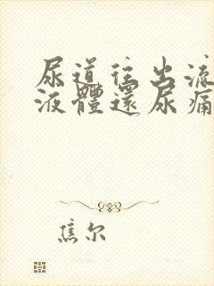 尿道往出流白色液体还尿痛