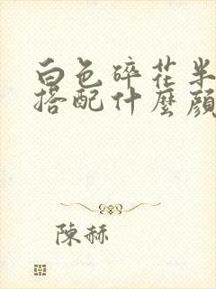 白色碎花半身裙搭配什么颜色上衣