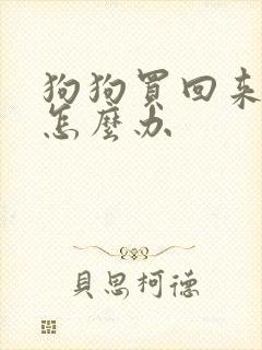 狗狗买回来拉稀怎么办