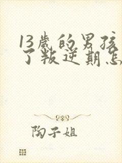 13岁的男孩到了叛逆期怎麽教