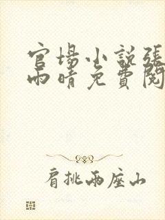 官场小说张林吴雨晴免费阅读