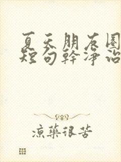 夏天朋友圈文案短句干净治愈阳光