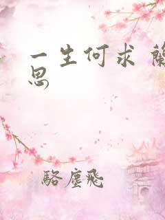 一生何求 兰思思