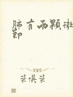 肺有两颗微小结节