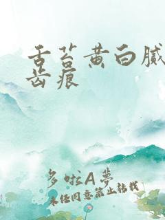 舌苔黄白腻厚有齿痕