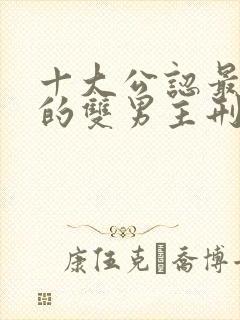 十大公认最好看的双男主刑侦小说