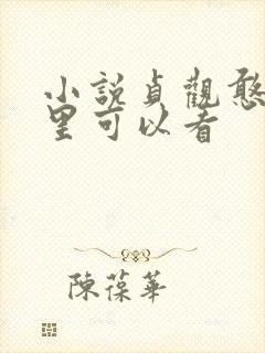 小说贞观憨婿那里可以看